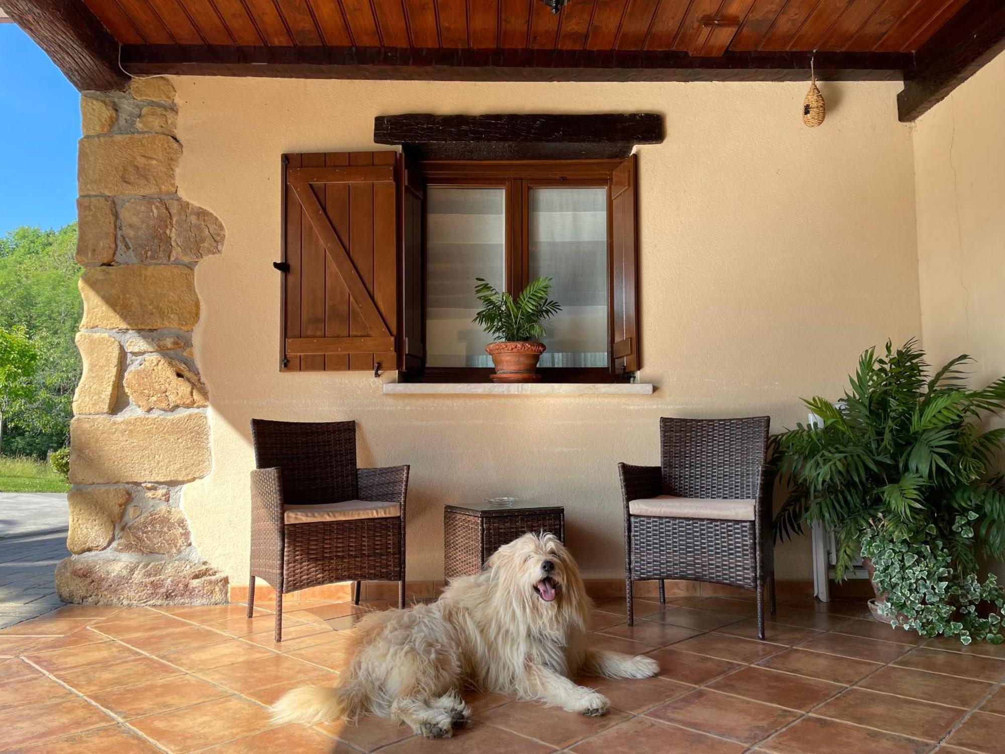 Agroturismo Erretegi Haundi Oiartzun Exterior photo